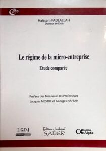 Le régime de la micro-entreprise - Etude comparée